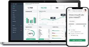 Credit Pro microfinance software